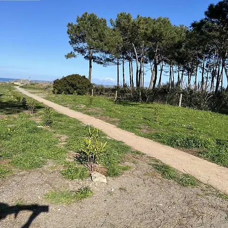 Apartman Studio Climatise 2-4 Pers Avec Terrasse Et Parking, Bord De Mer A Borgo - Fr-1-650-29